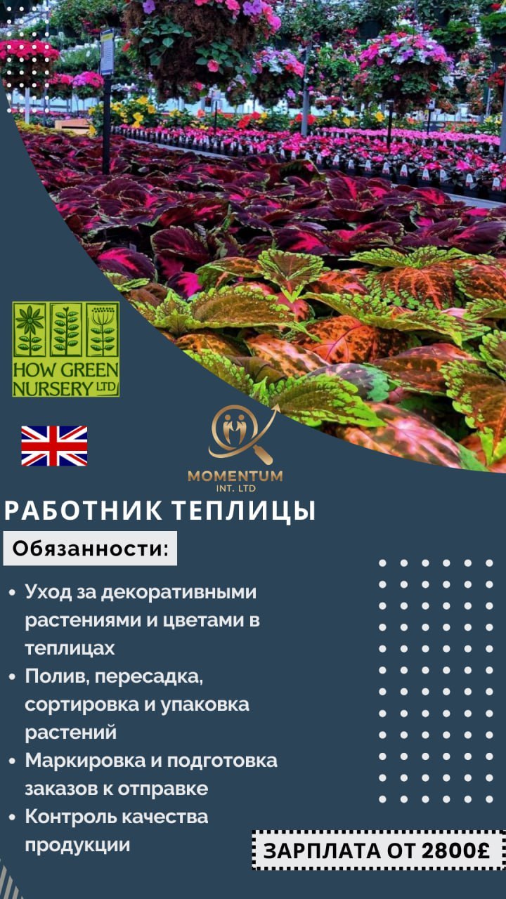 Фото вакансии 17